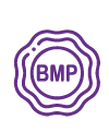 icon BMP