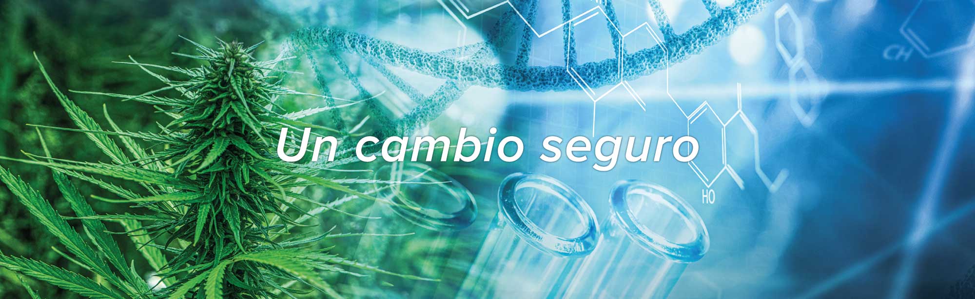 cannabidiol un cambio seguro